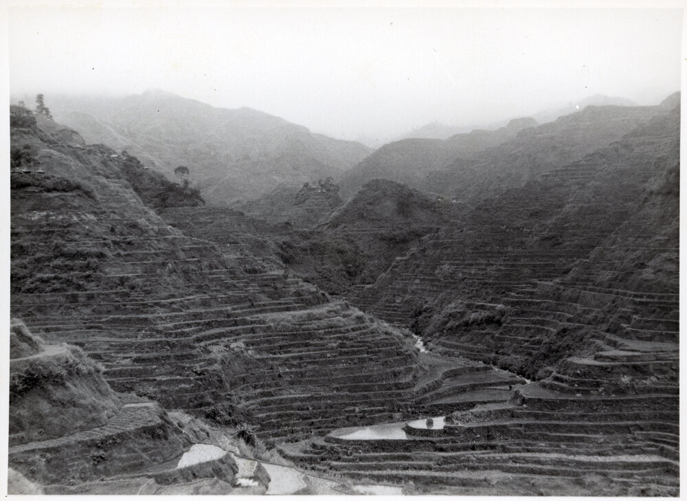 Rice Terraces, Ifugao