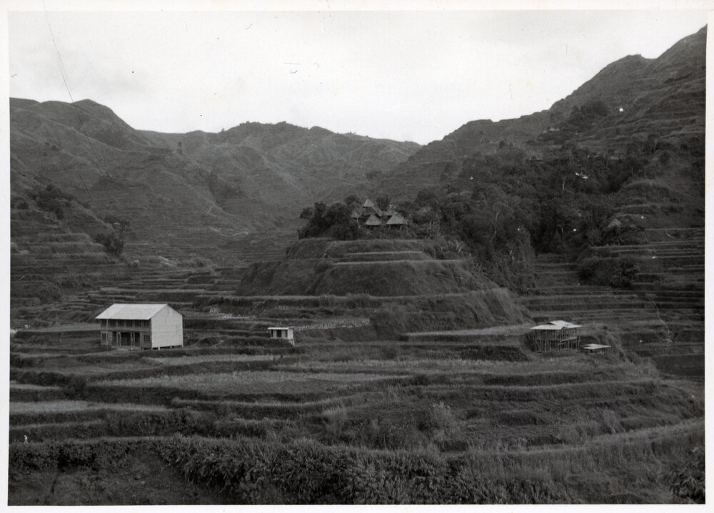 Rice Terraces, Ifugao