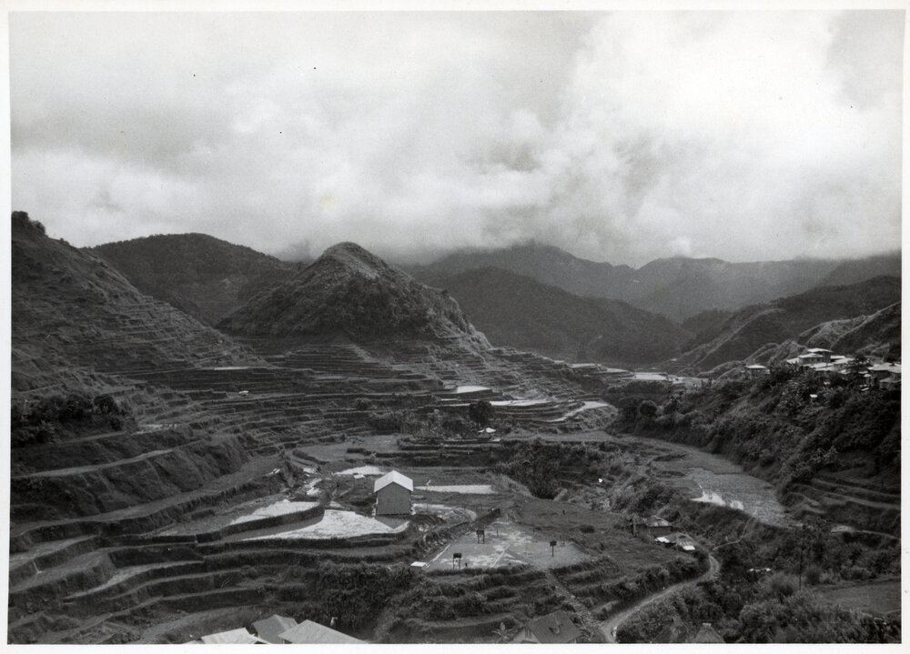Rice Terraces, Ifugao