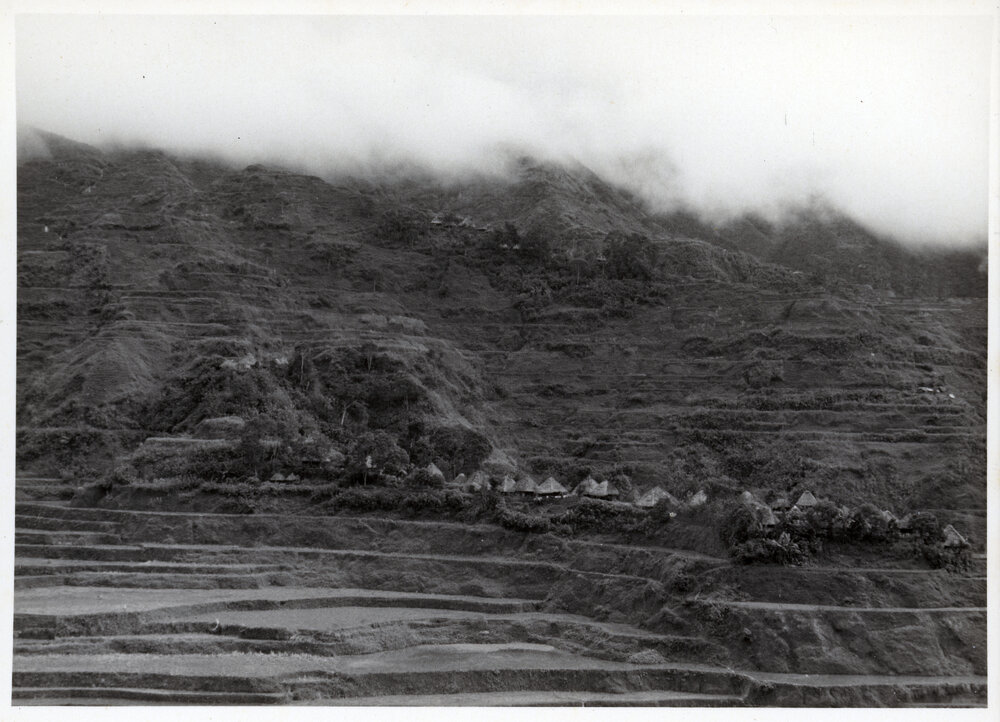 Rice Terraces, Ifugao