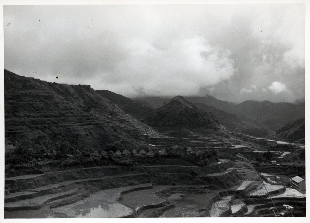 Rice Terraces, Ifugao