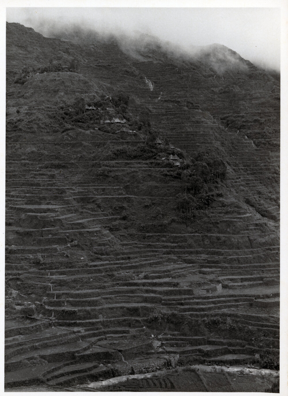 Rice Terraces, Ifugao