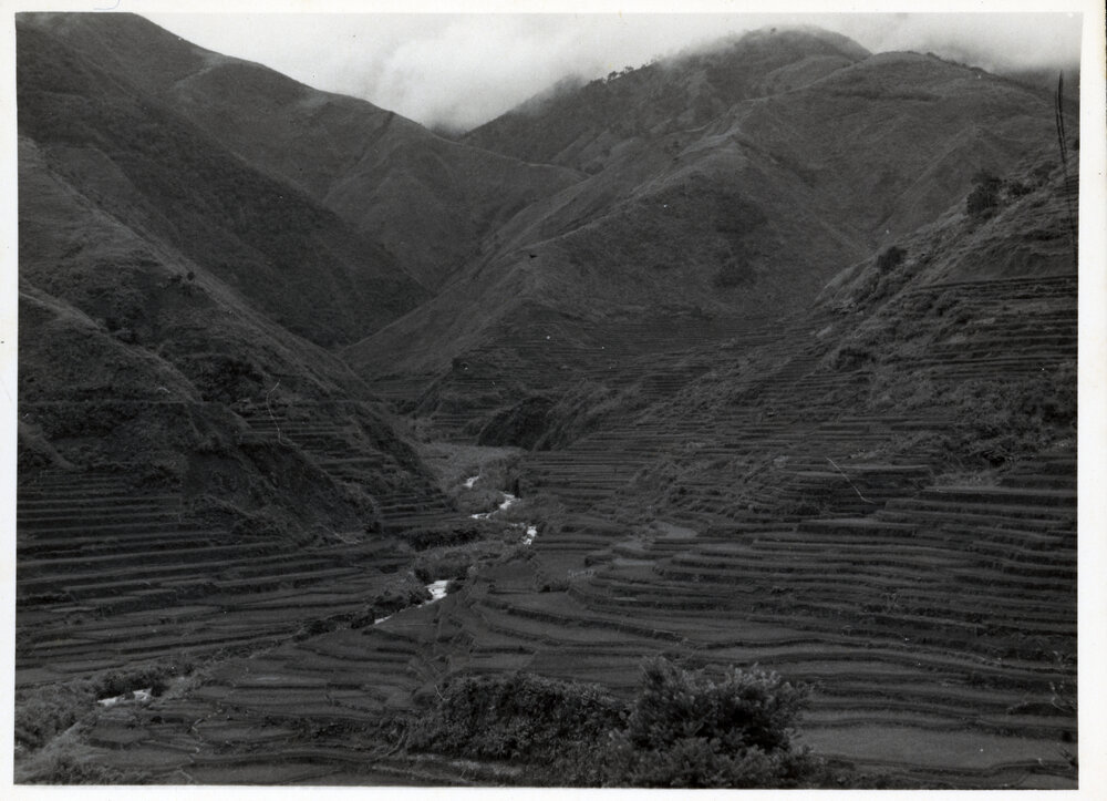 Rice Terraces, Ifugao