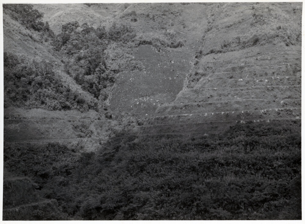 Rice Terraces, Ifugao
