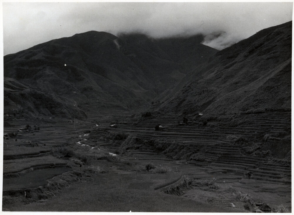 Rice Terraces, Ifugao