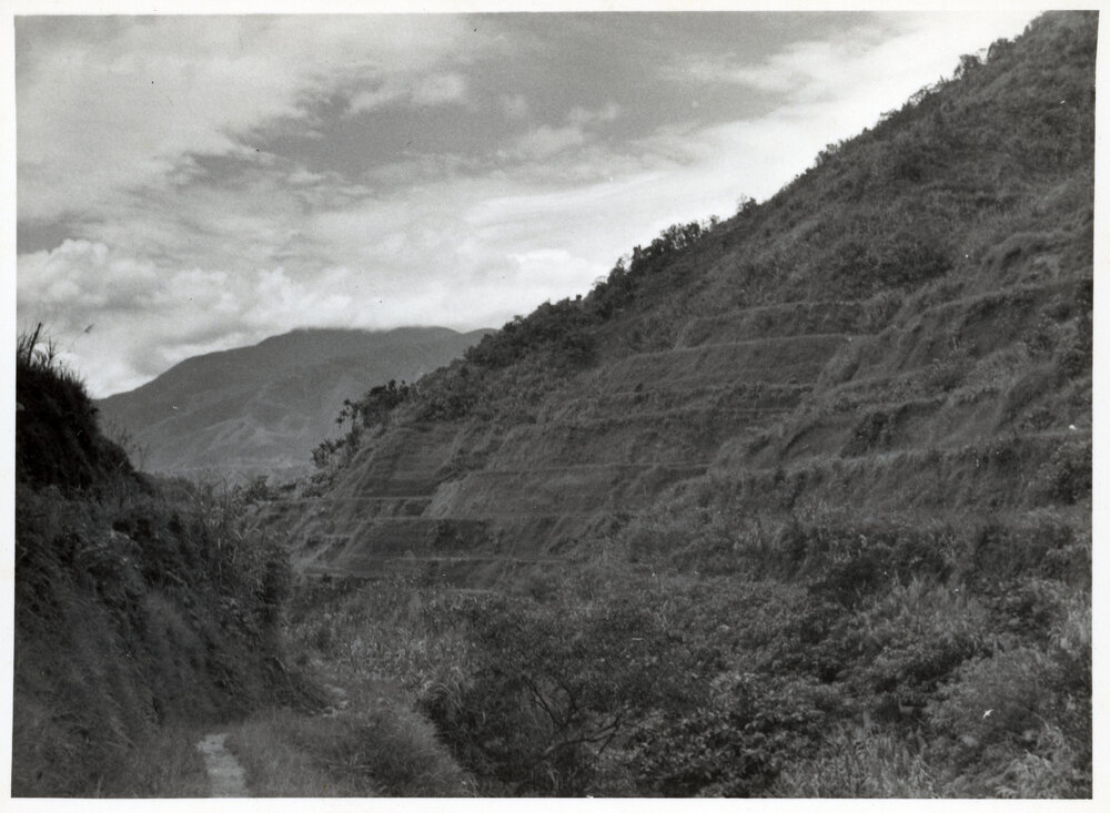Rice Terraces, Ifugao