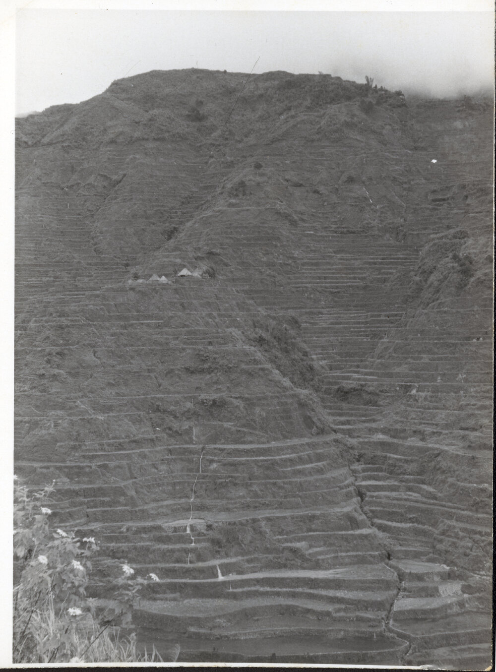 Rice Terraces, Ifugao