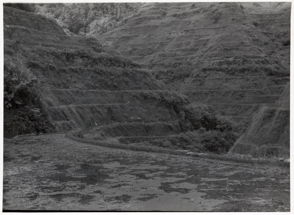 Rice Terraces, Ifugao