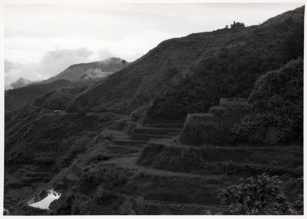 Rice Terraces, Ifugao