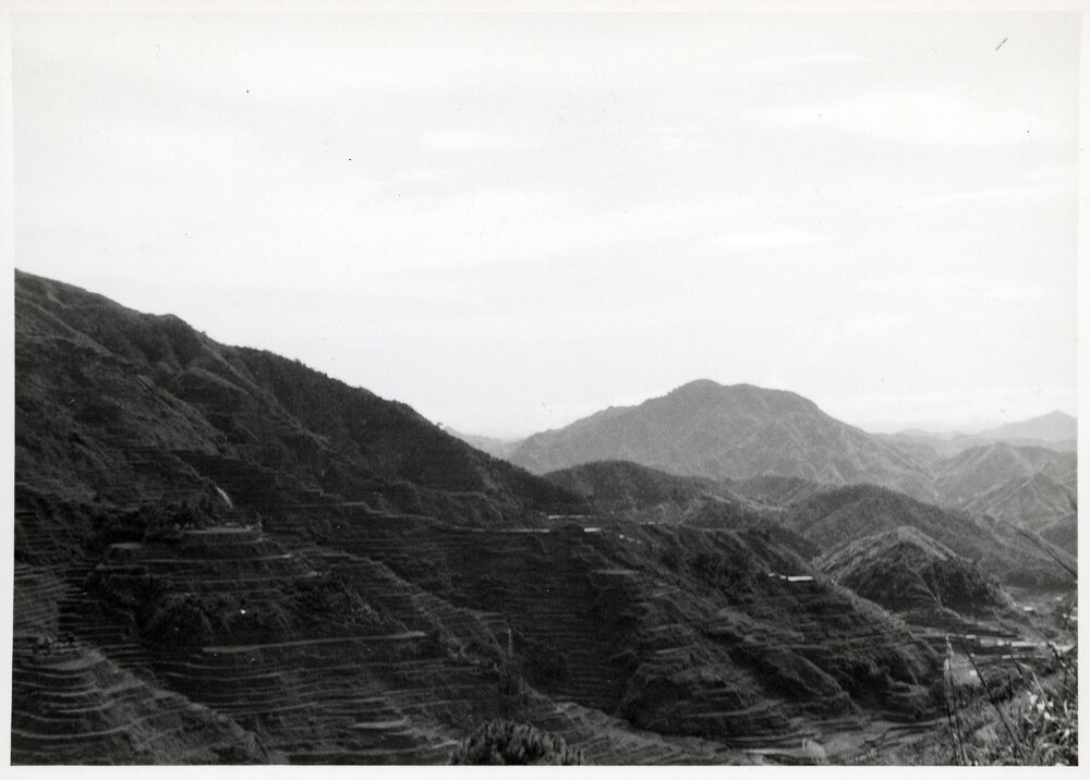 Rice Terraces, Ifugao