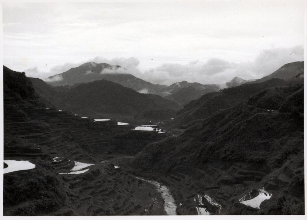 Rice Terraces, Ifugao