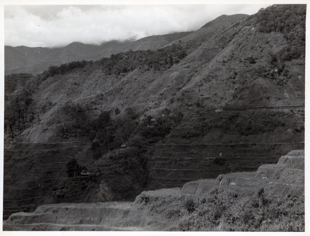 Rice Terraces, Ifugao