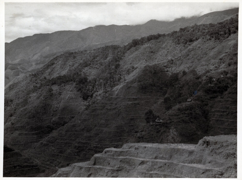 Rice Terraces, Ifugao