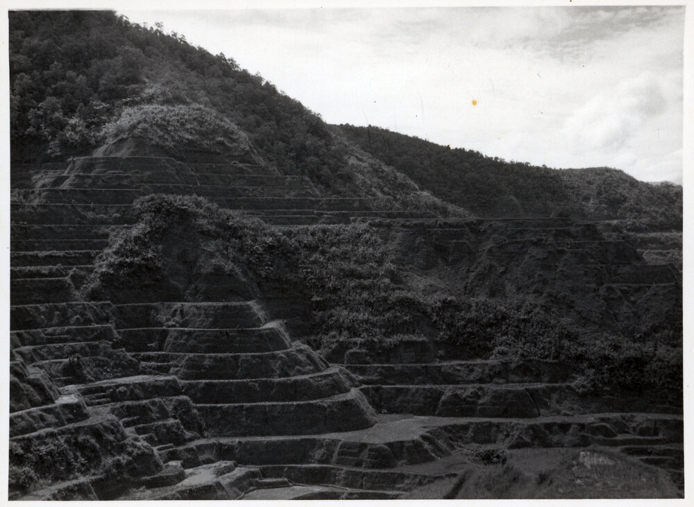 Rice Terraces, Ifugao