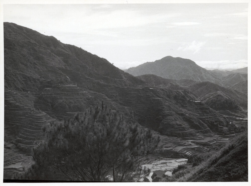 Rice Terraces, Ifugao