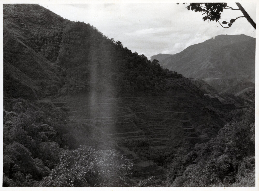Rice Terraces, Ifugao