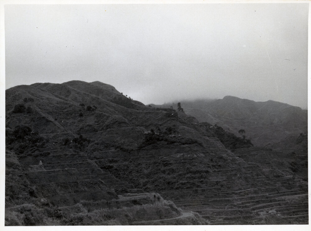 Rice Terraces, Ifugao