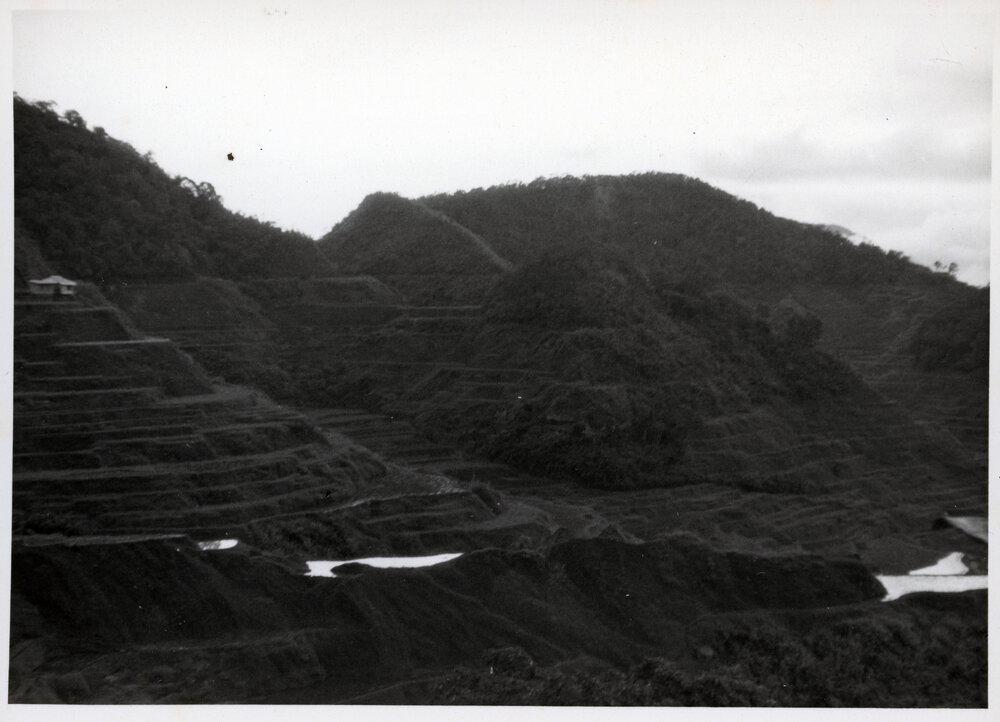 Rice Terraces, Ifugao