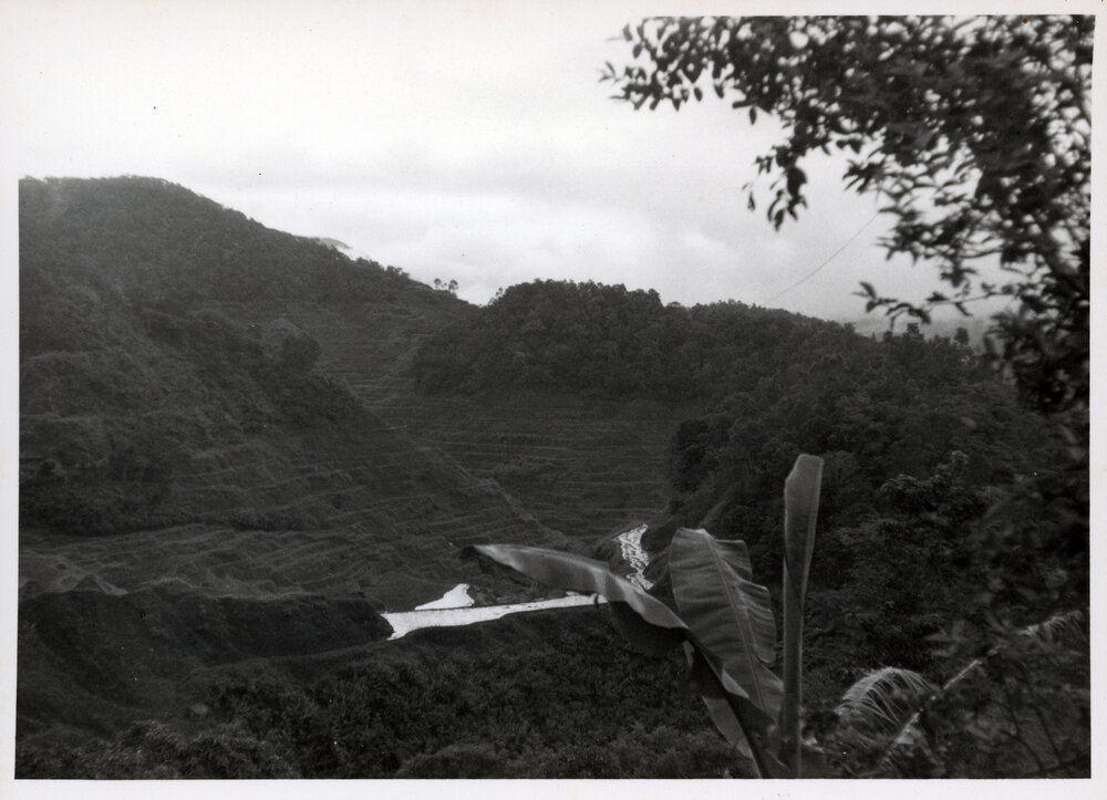Rice Terraces, Ifugao