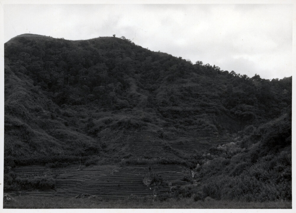 Rice Terraces, Ifugao