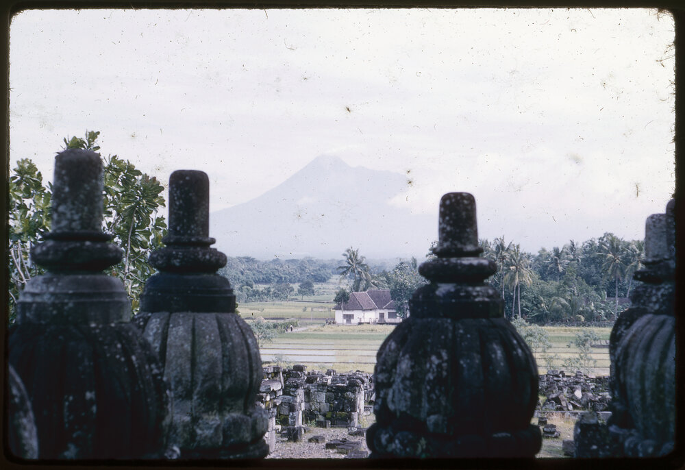 View from Prambanan Temple