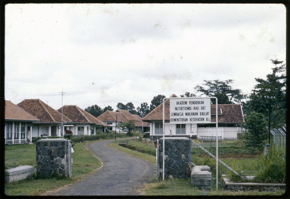 Nutrition Academy and Food Institute