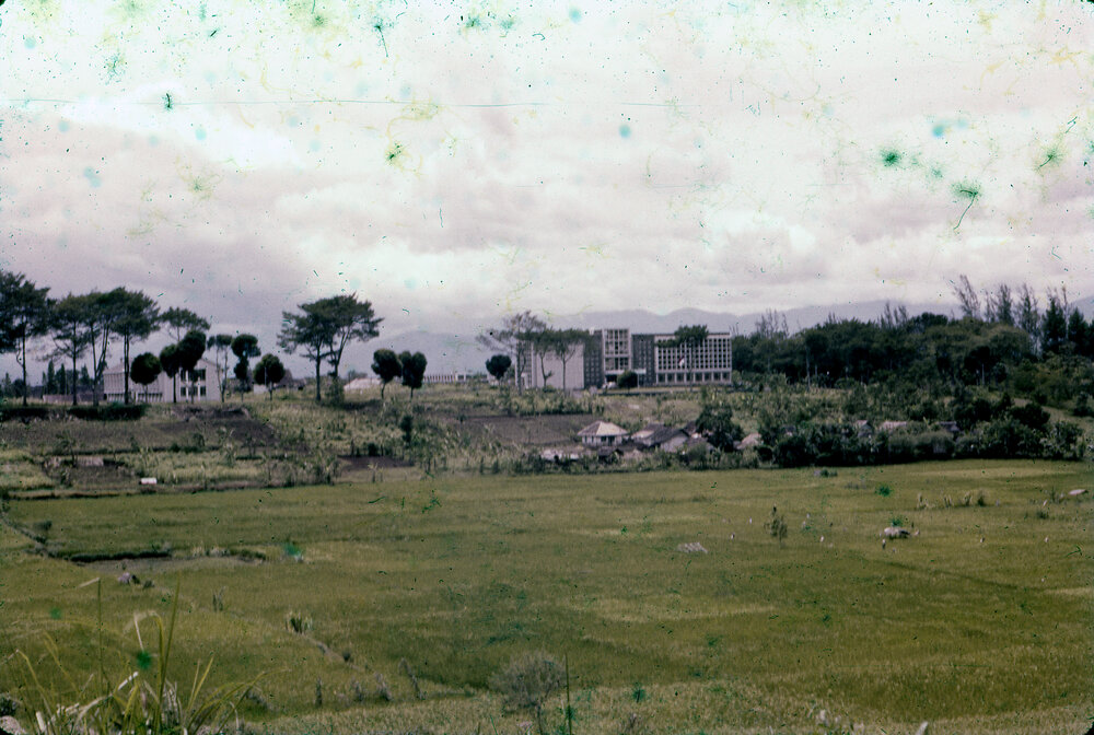 View Across Field with Buildings in Background