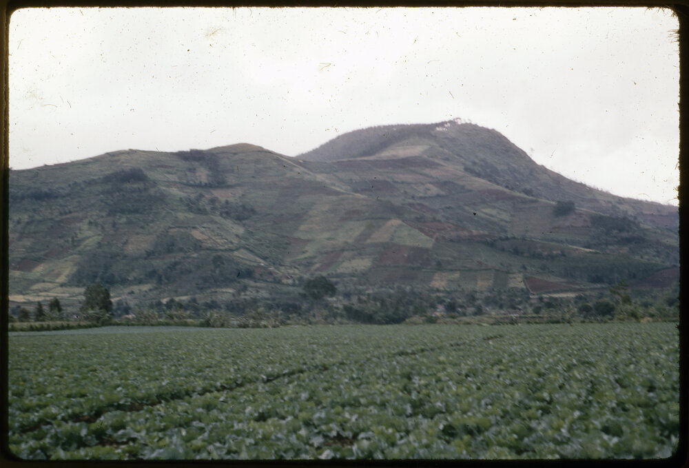 Field and Mountain