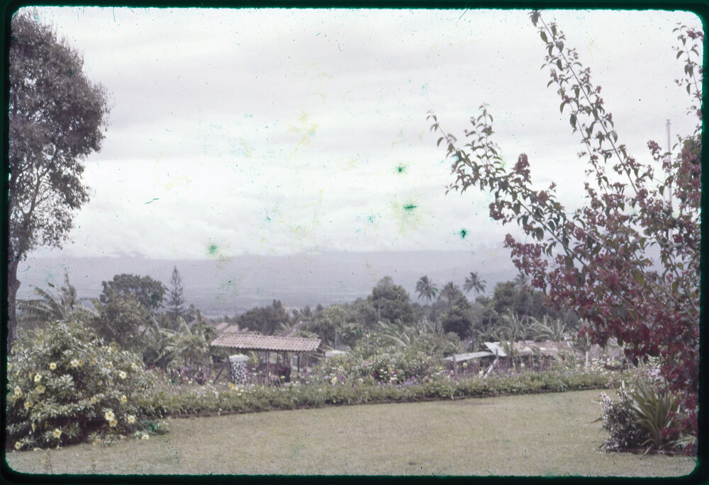 View from a Garden