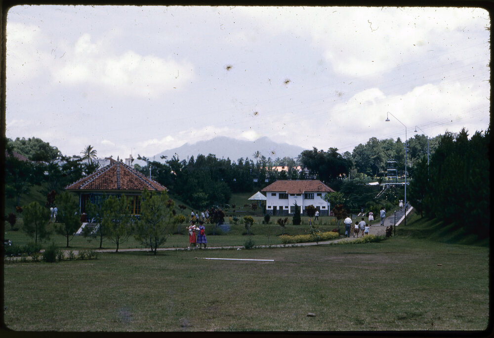 People Walking Through Park