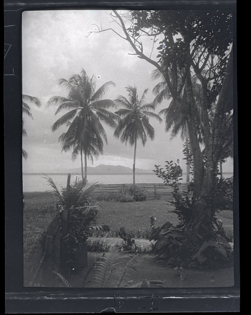 [Manum Island, New Guinea] Views of Potsdammhafen from Awar Plantation