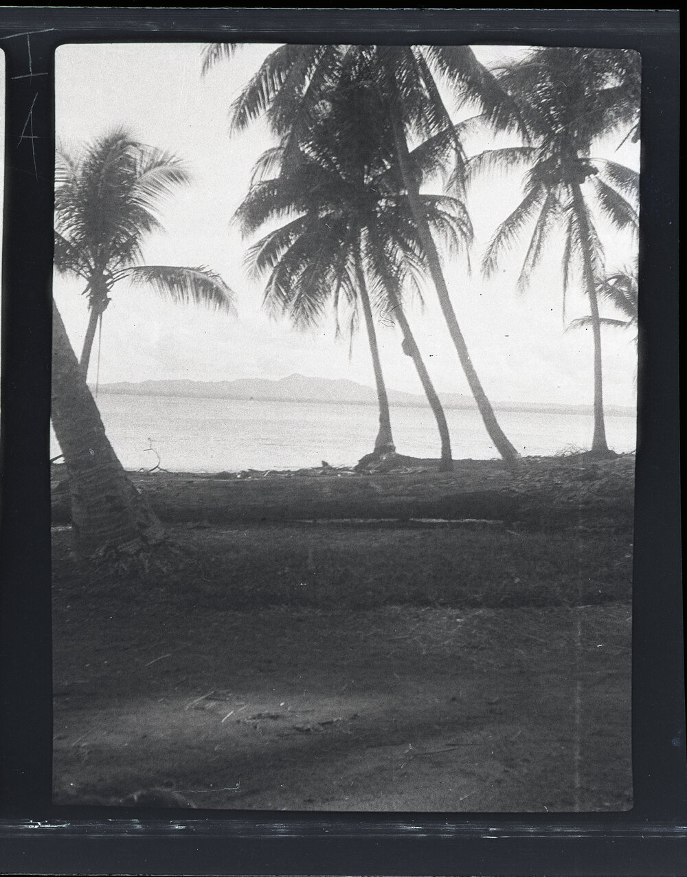 [Manum Island, New Guinea] Views of Potsdammhafen from Awar Plantation