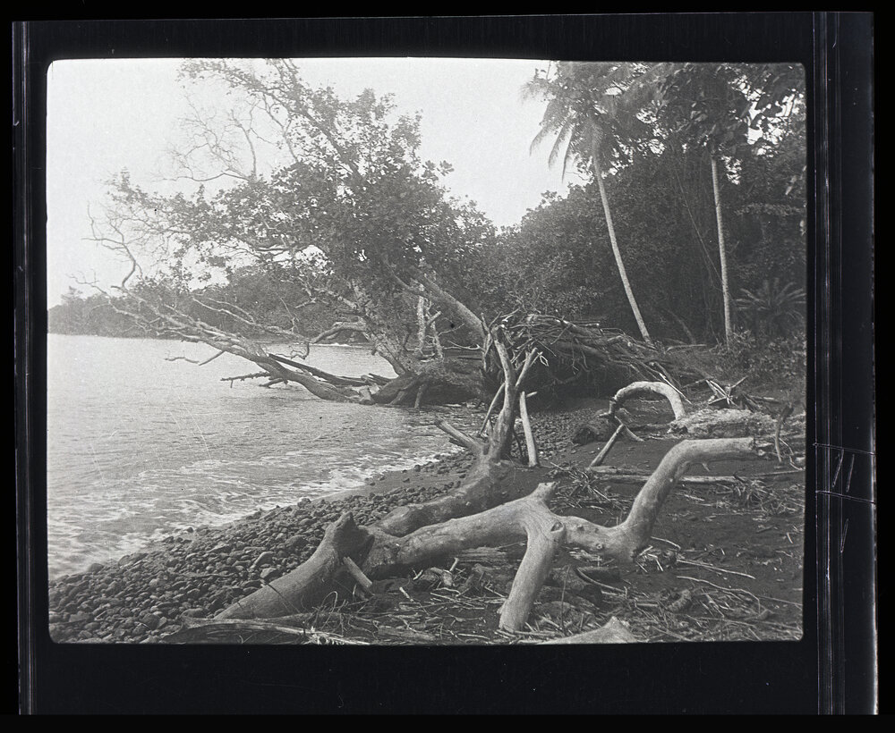 [Manum Island, New Guinea] The Beach of Tsogari Looking Northwards