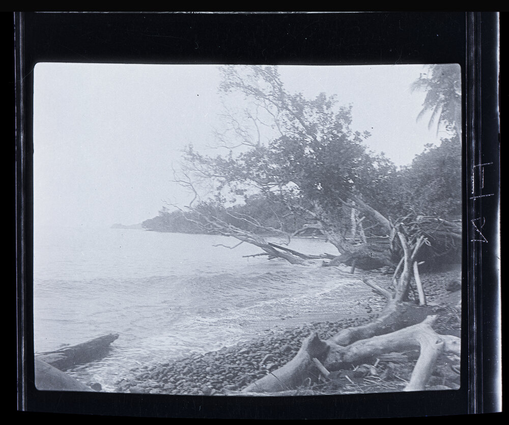 [Manum Island, New Guinea] The Beach of Tsogari Looking Northwards