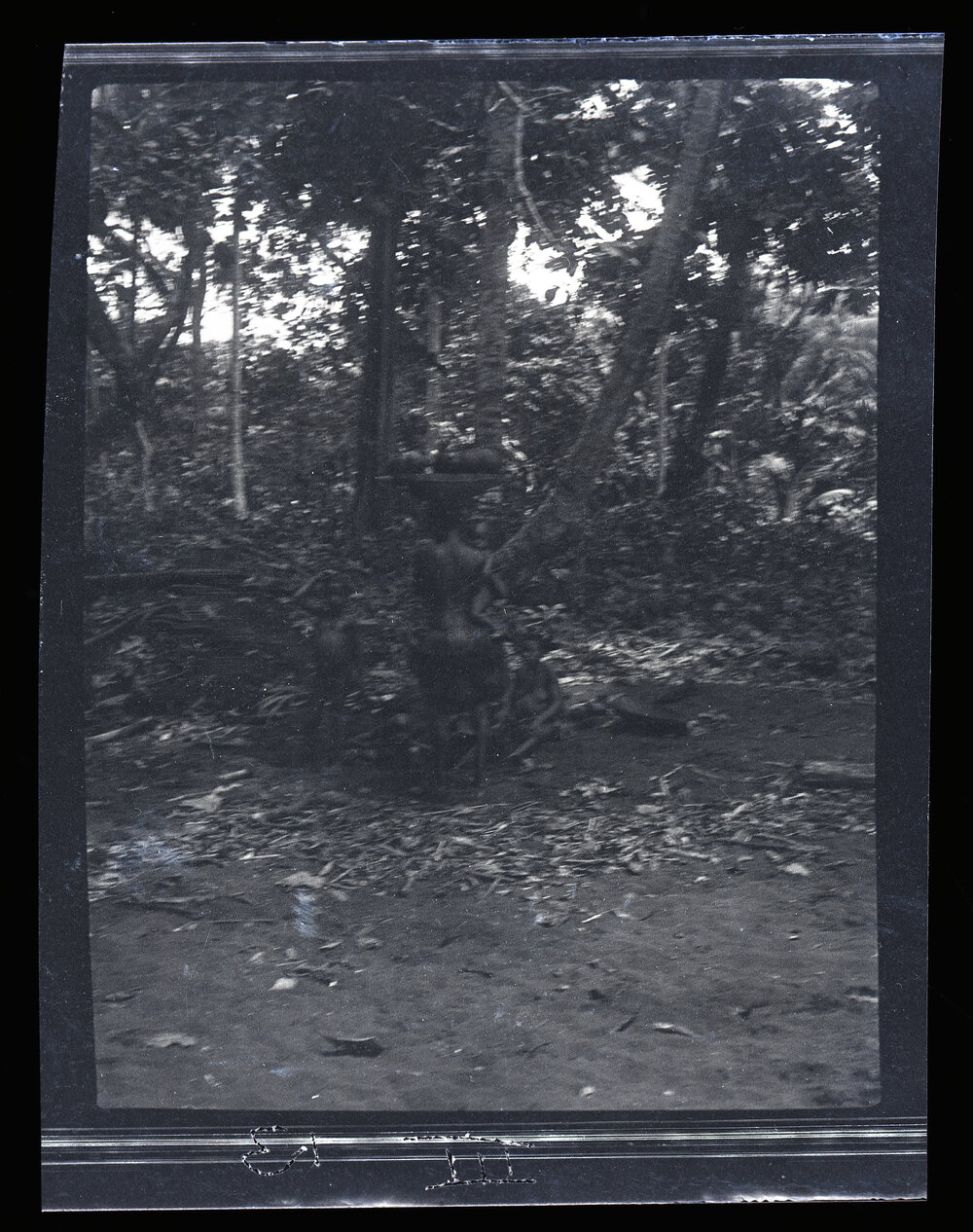 [Manum Island, New Guinea] Carrying Water in Coconut Shells Placed on a Wooden Dish