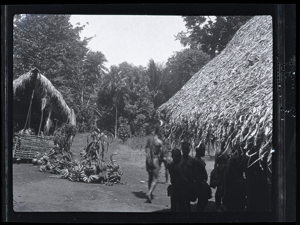 [Manum Island, New Guinea] The Vegetable Food Piled up in Front of the Chief's House for Distribution to the Waia People