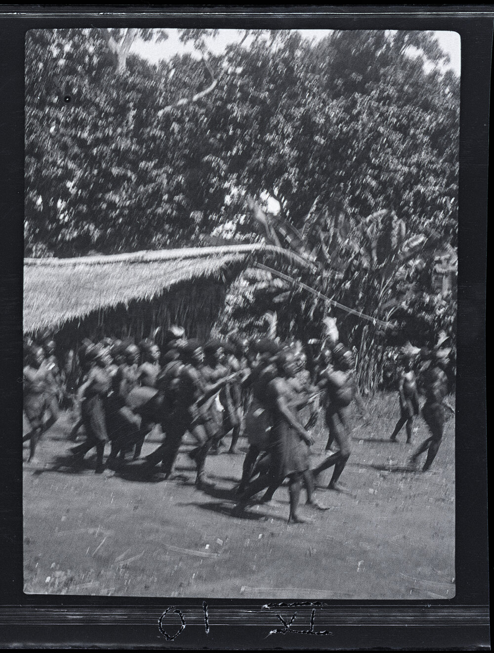 [Manum Island, New Guinea] The Men of Dugulaba Carry Across a Pig to Present to one of the Waia Tanepwa