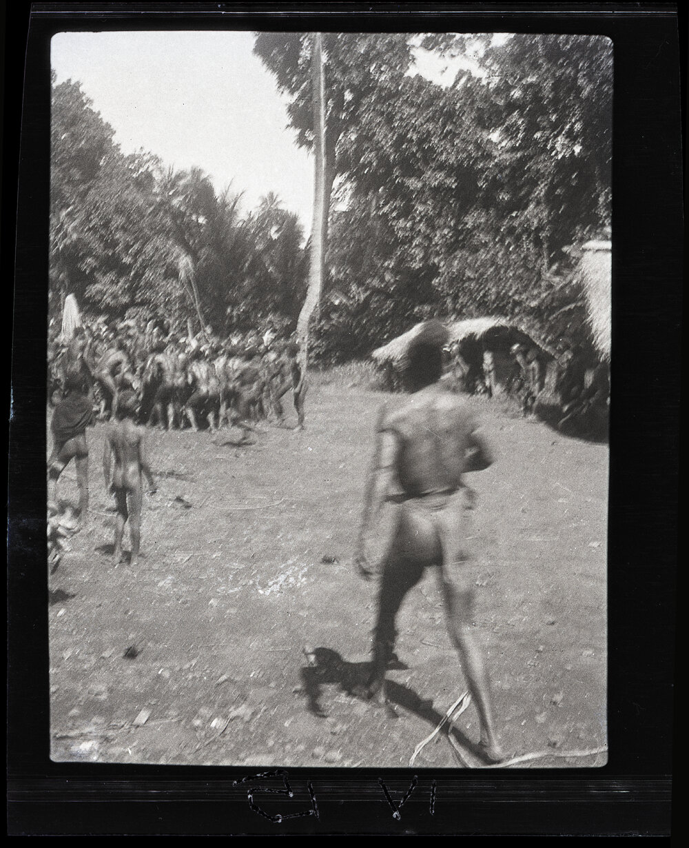 [Manum Island, New Guinea] Carrying the Large "Bed&rdquo; of Taro to Give to the Visitors. In it Stands a Child to Make it "Lighter".