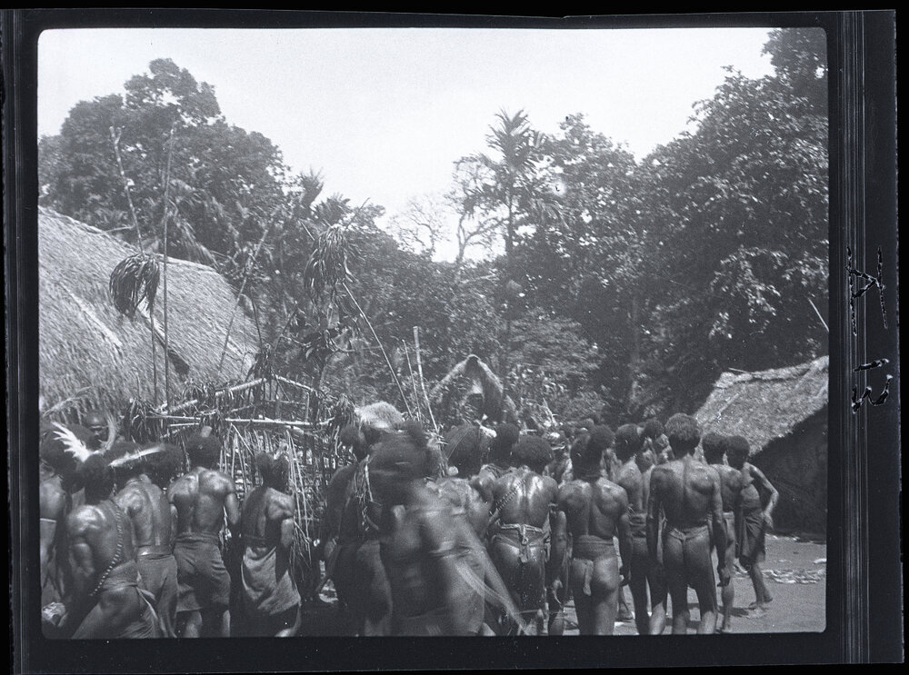 [Manum Island, New Guinea] Carrying Away the &rdquo;Bed&rdquo; of Taro