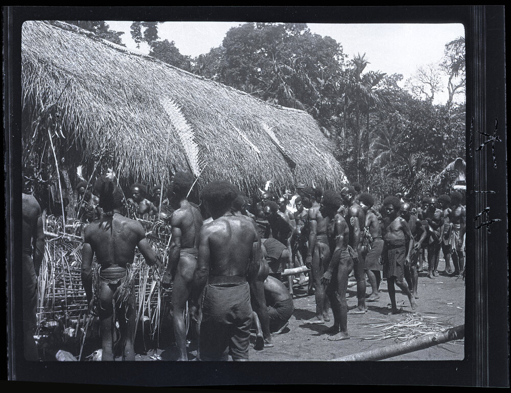 [Manum Island, New Guinea] Carrying Away the &rdquo;Bed&rdquo; of Taro