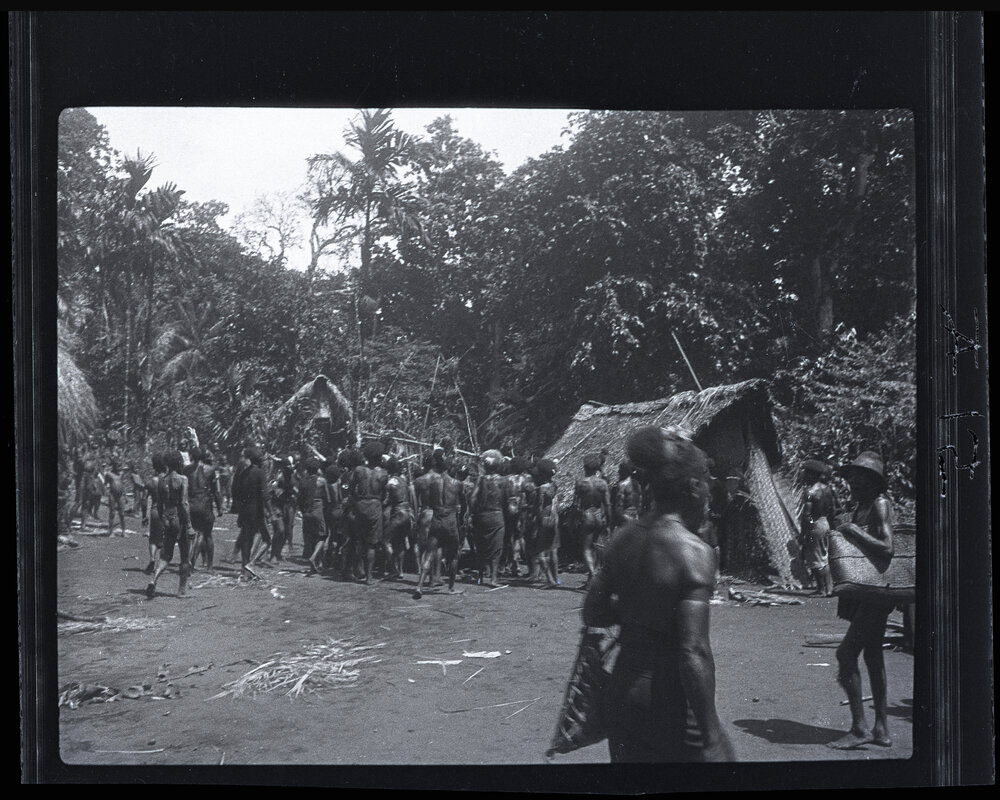 [Manum Island, New Guinea] Carrying Away the &rdquo;Bed&rdquo; of Taro