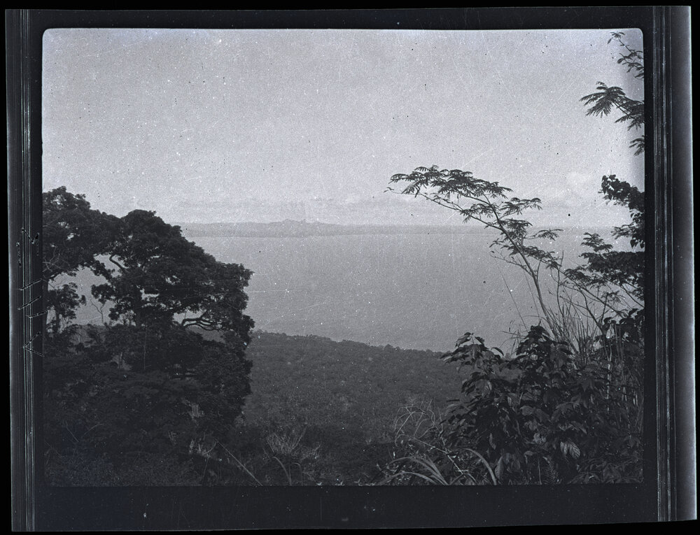 [Manum Island, New Guinea] View of the Mainland from this Garden