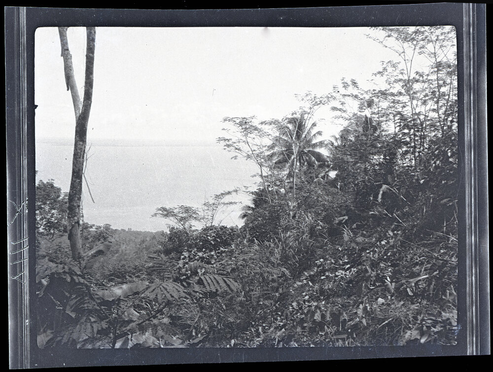 [Manum Island, New Guinea] View of the Sea and Mainland from Ainda&rsquo;s Garden