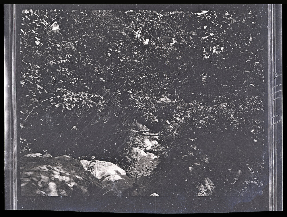 [Manum Island, New Guinea] These Rocks Looking Down the Gulley