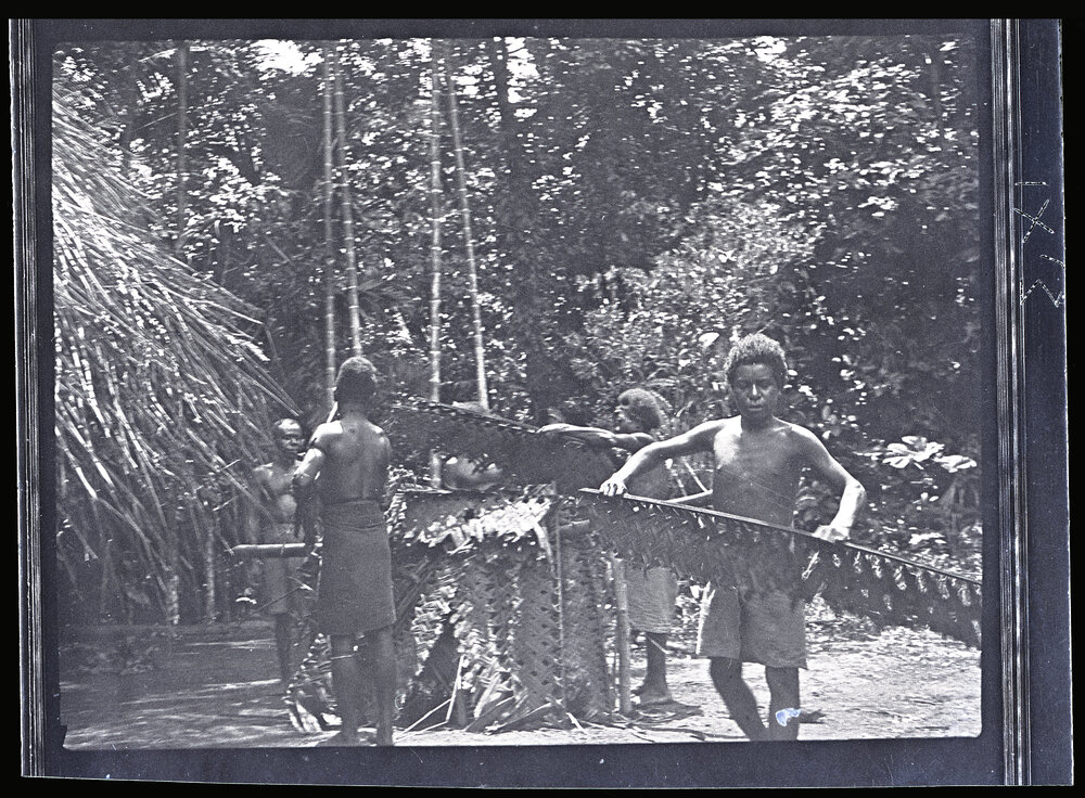 [Manum Island, New Guinea] Putting Old Coconut Leaf Mats etc., Over the Pig for Singeing it