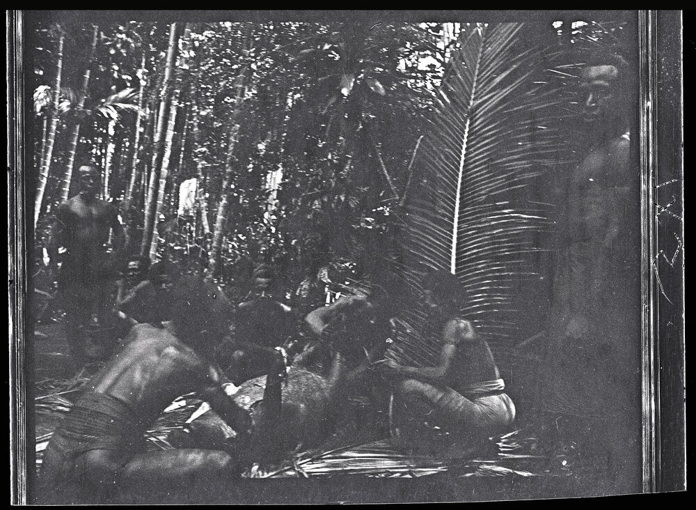 [Manum Island, New Guinea] Cutting up the Pig; First Stages 