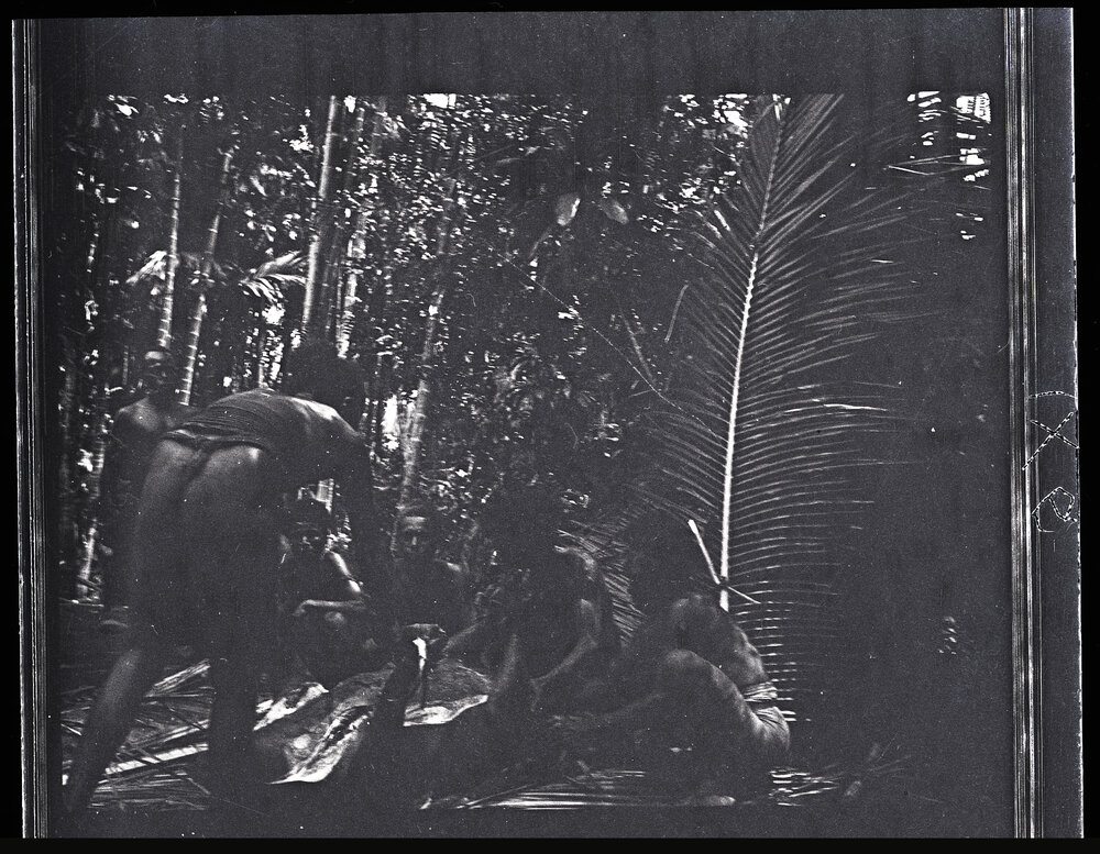 [Manum Island, New Guinea] Cutting up the Pig; First Stages 