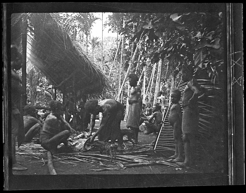 [Manum Island, New Guinea] Cutting up the Pig; Later Stages 