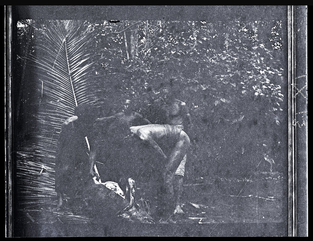 [Manum Island, New Guinea] Cutting up the Pig