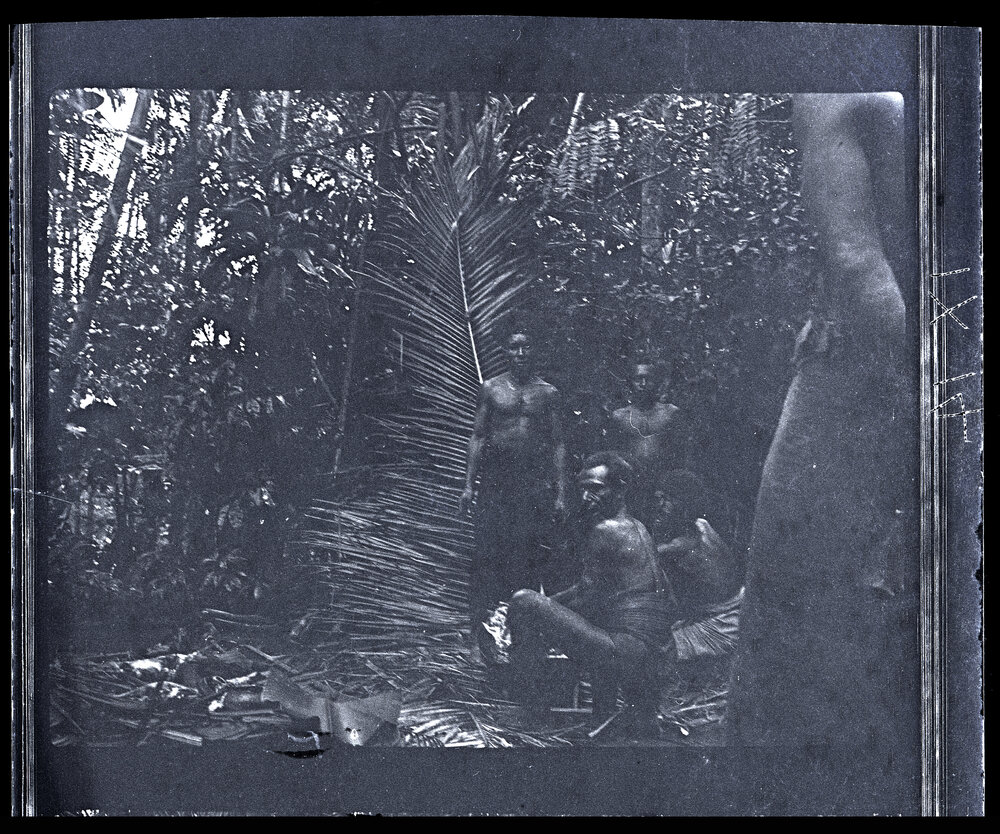 [Manum Island, New Guinea] Cutting up the Pig